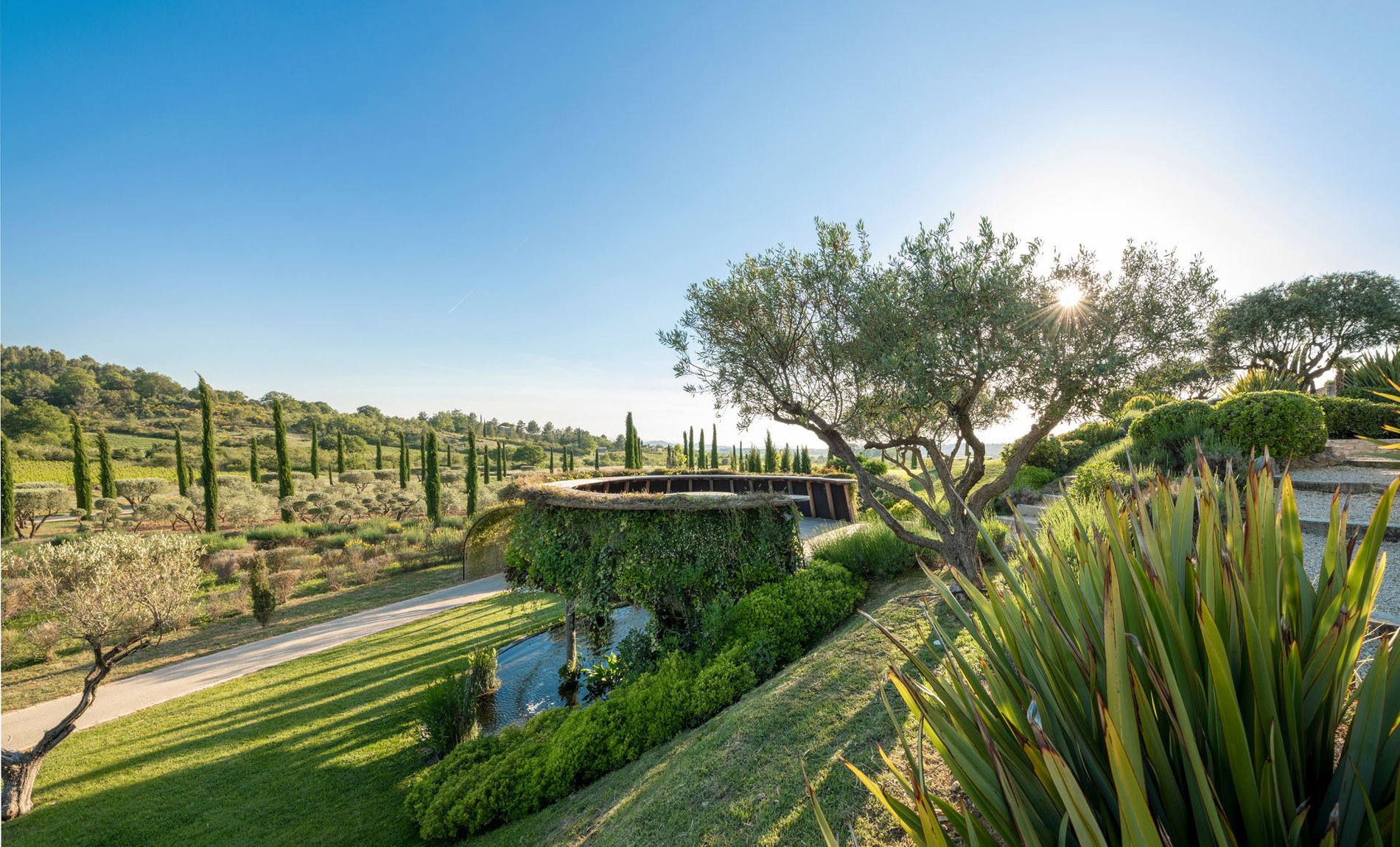 d6dc6def-ce86-4cb8-aff5-5fa7d71c063c