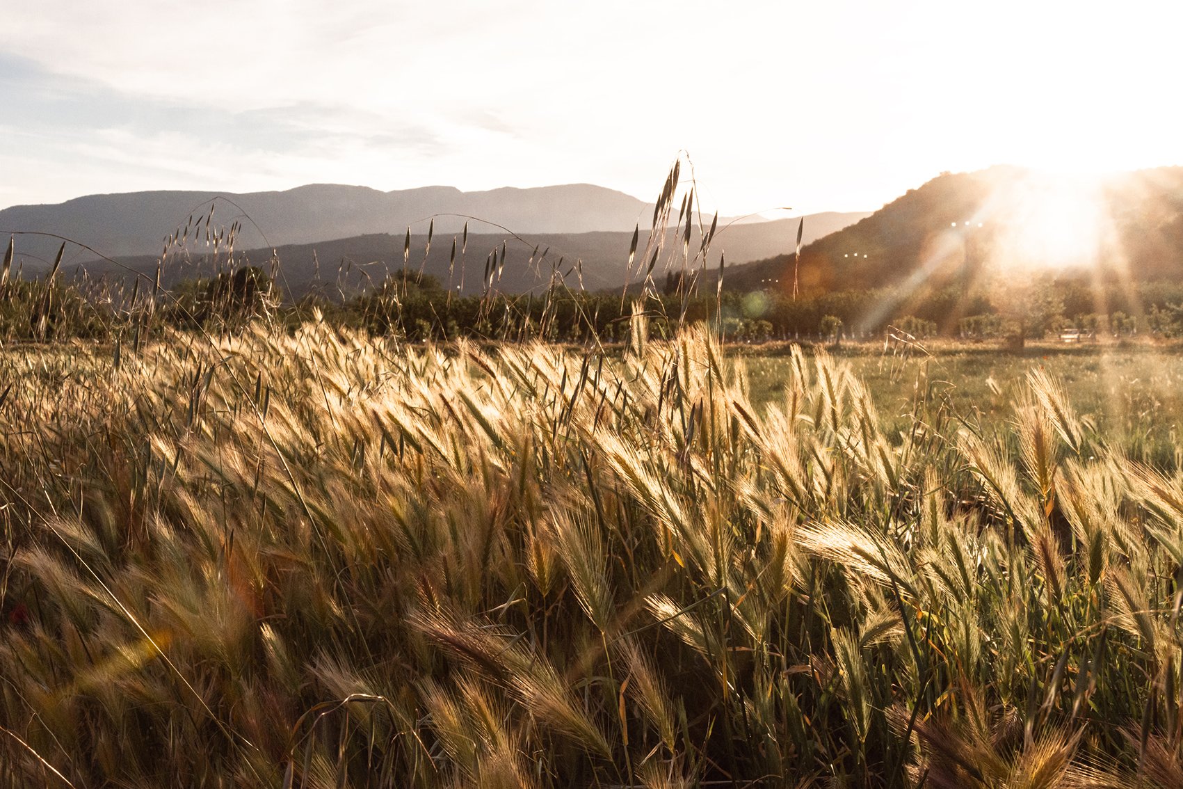 d892d41b-65ab-4be5-b913-6d1448df86f0