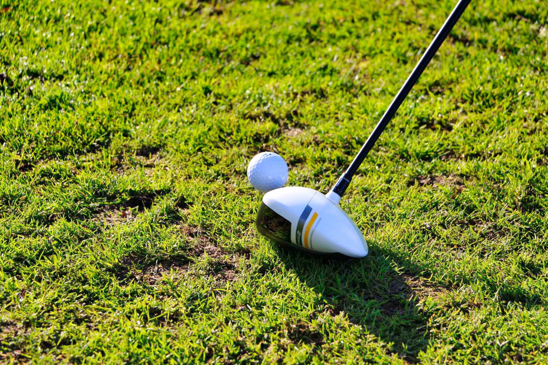 dced34eb-7083-44ce-bdb0-5fae15c10198