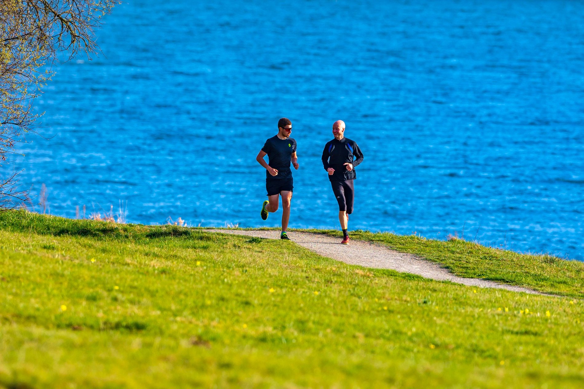 deac3bb6-4a91-4300-9c20-b6a6d01649f5