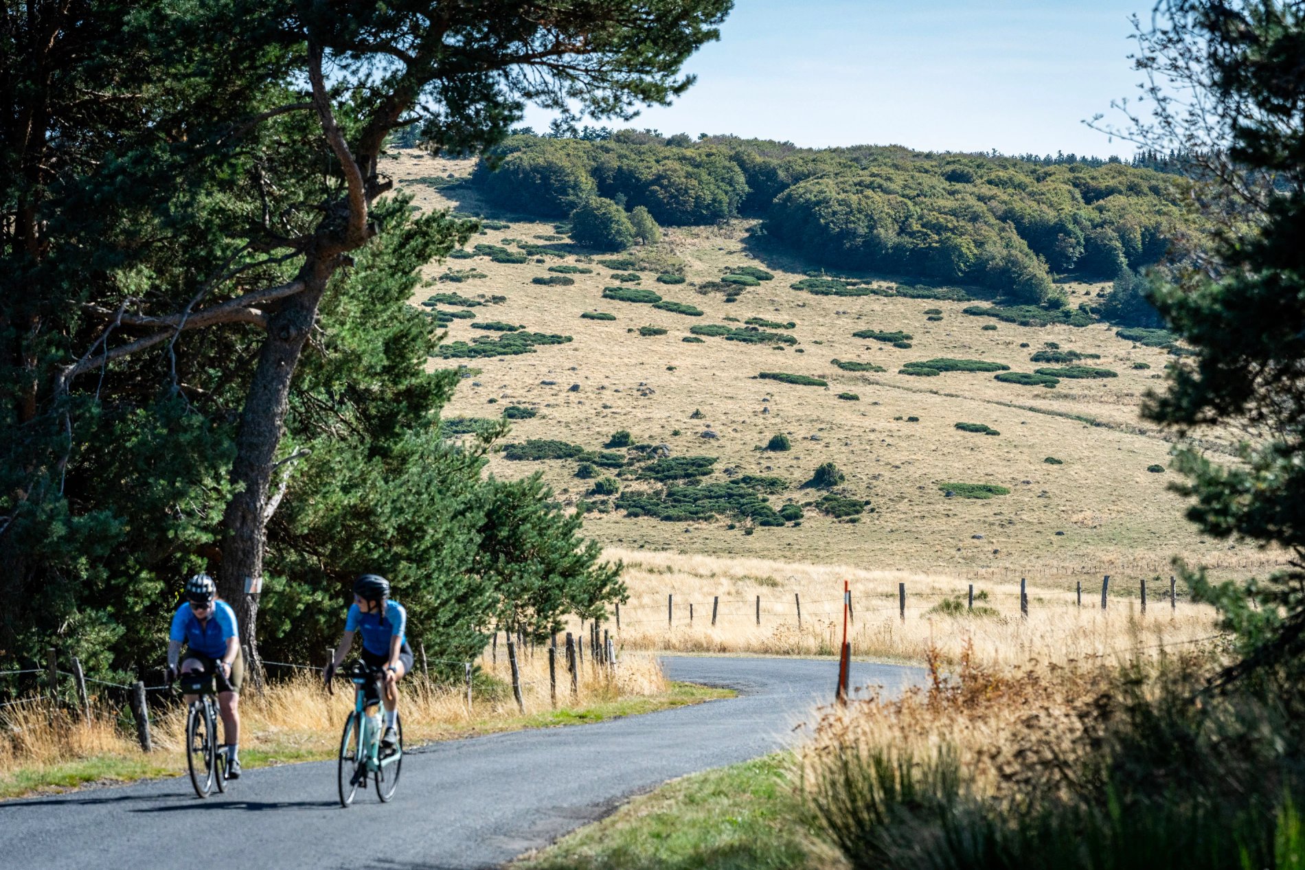 e24778d9-c8b9-4d84-bf3c-0458383372ba