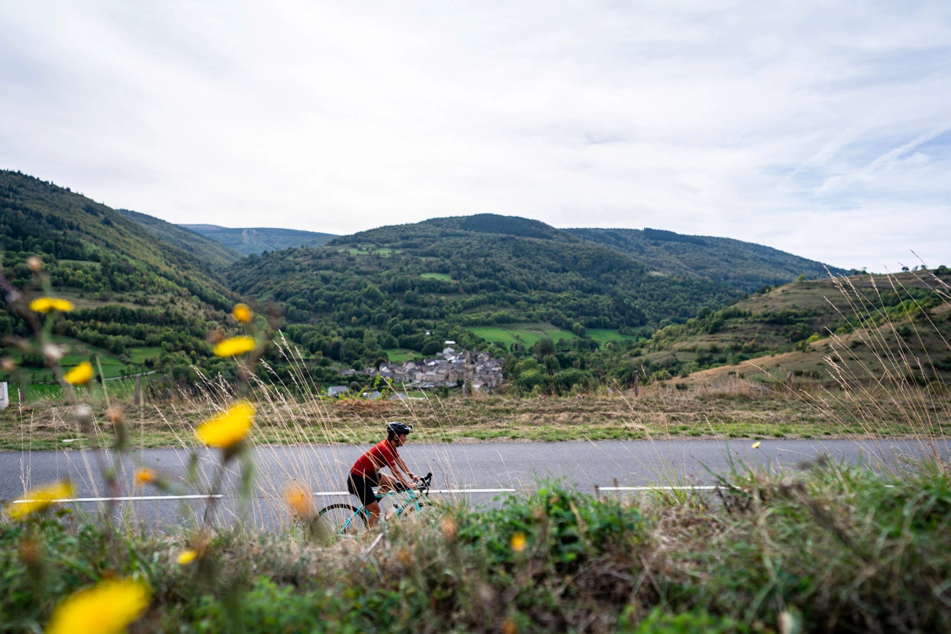 e25dae8e-0ed0-4dd2-9d53-02e8c99e4a38