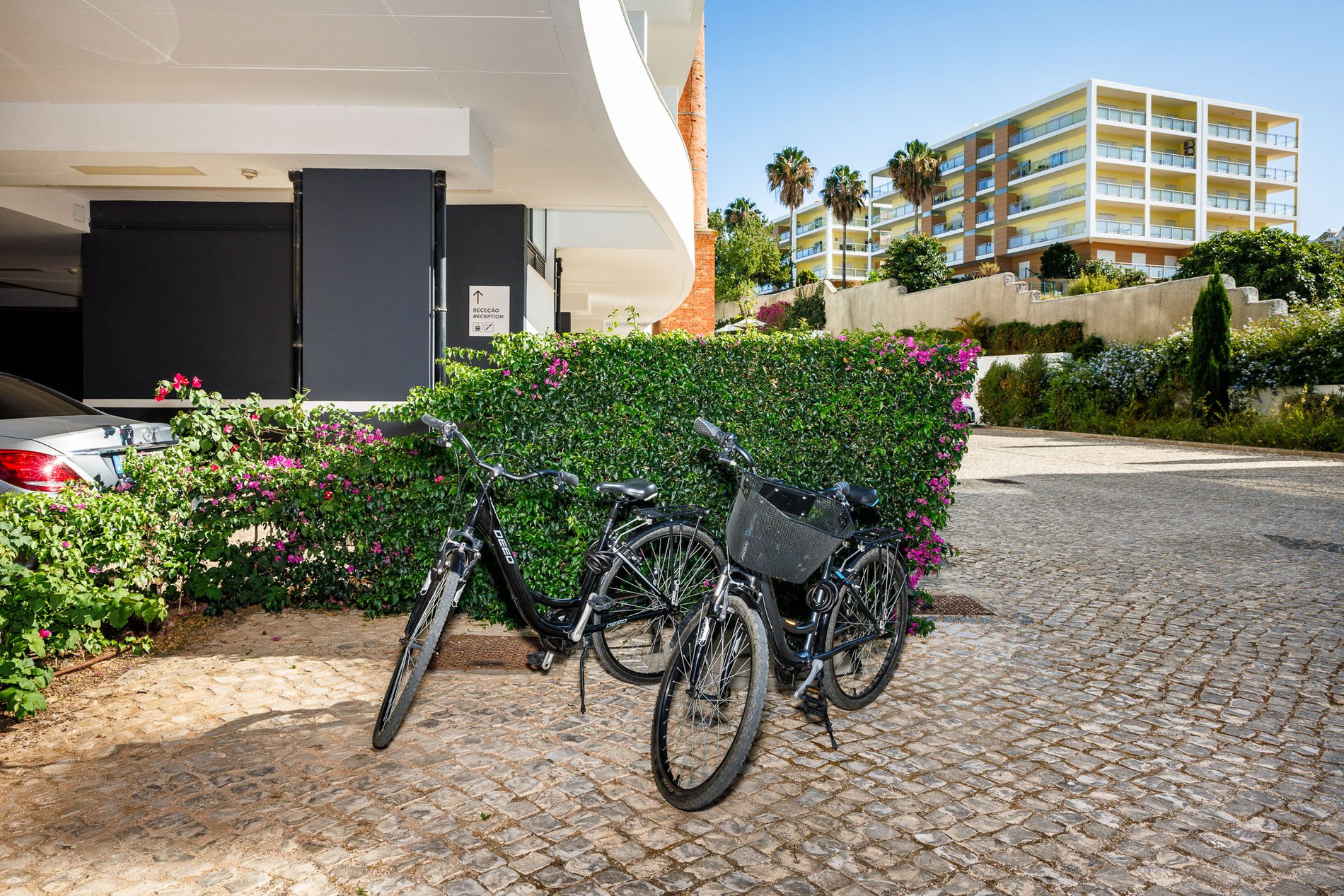 e55e9863-84f4-4956-83e9-d7c9c1fffbc8