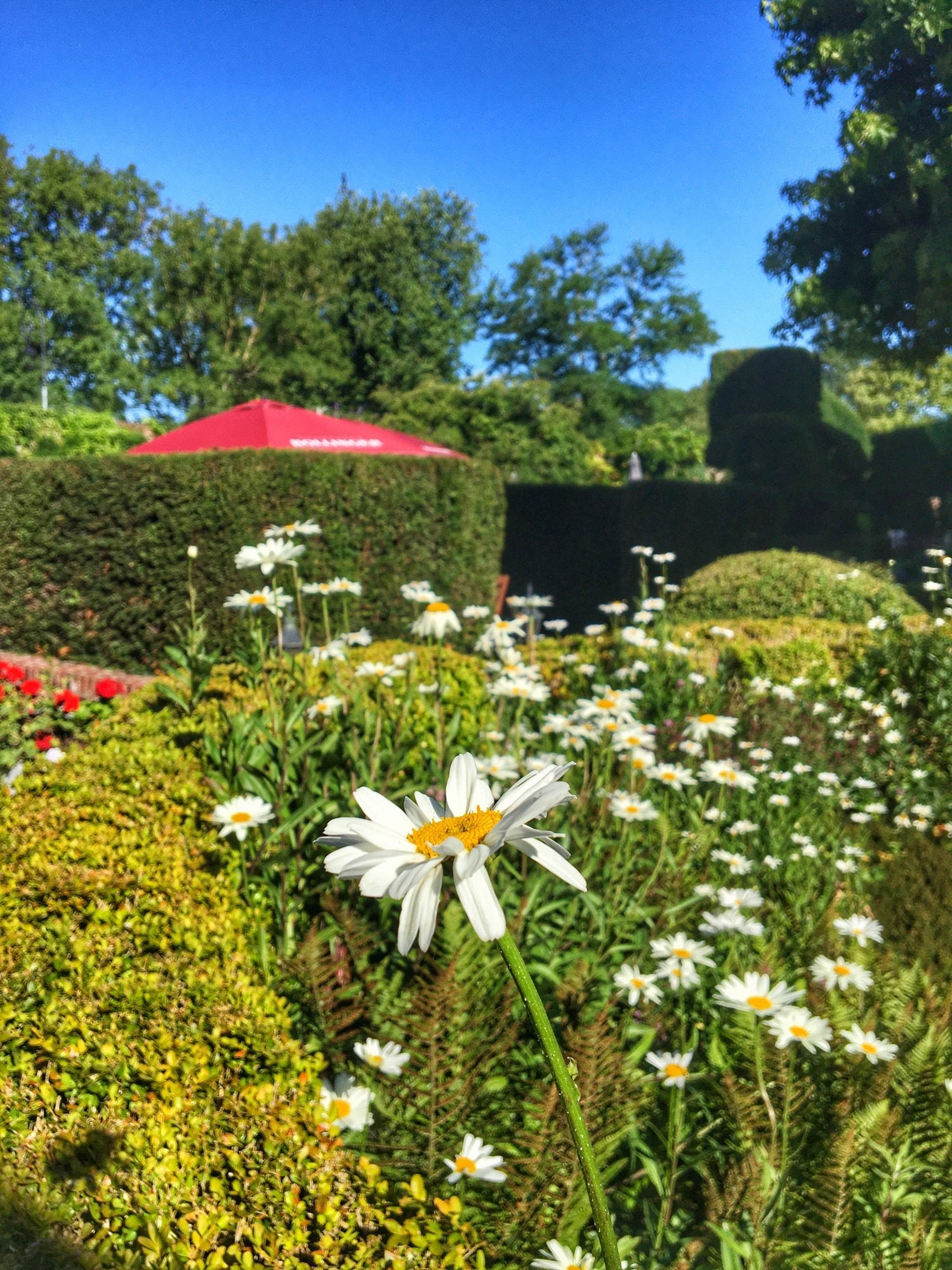 e5a363a6-0266-4f2e-b73e-86f441256d79