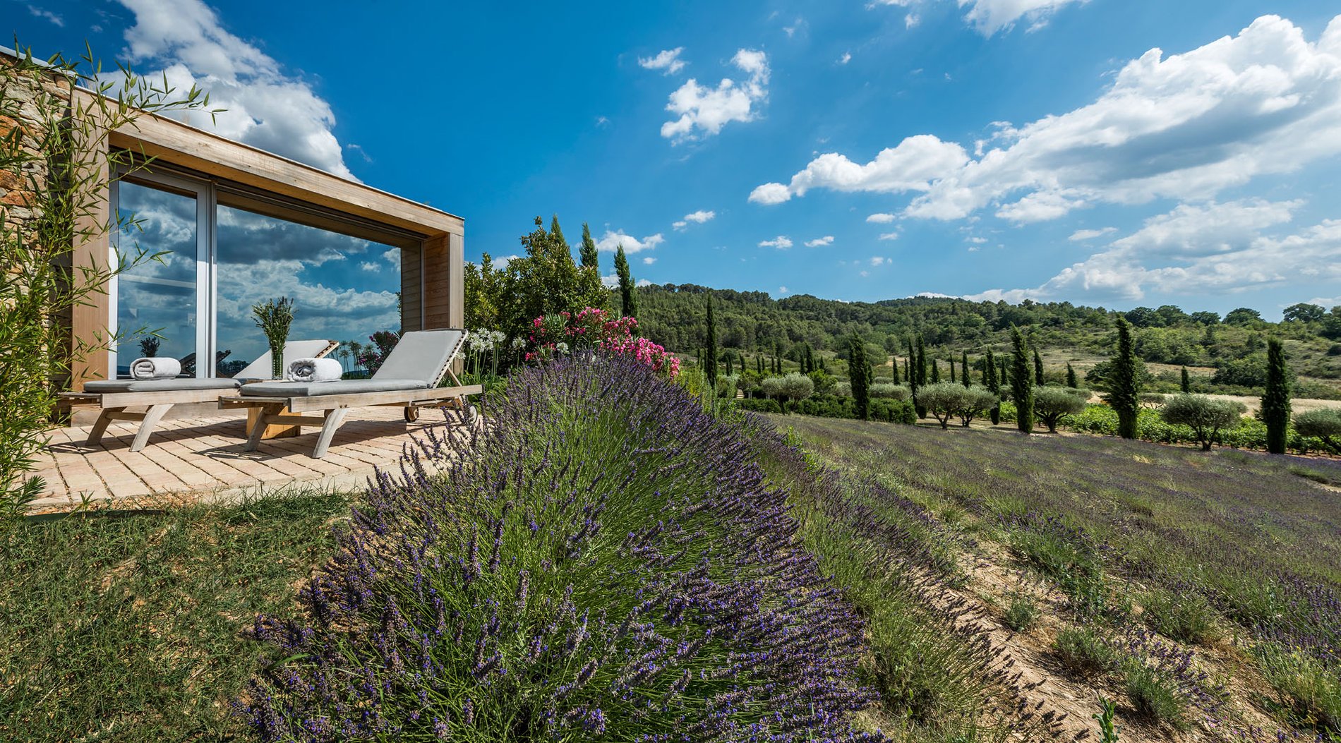 e5a5b1ab-0a8c-4c53-87c7-37a78f8f1e1a