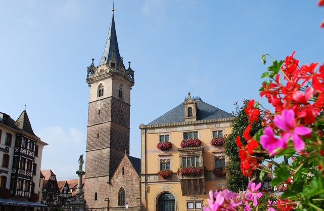 e6c98d5e-9641-4d71-aae7-ee617bec3a5e