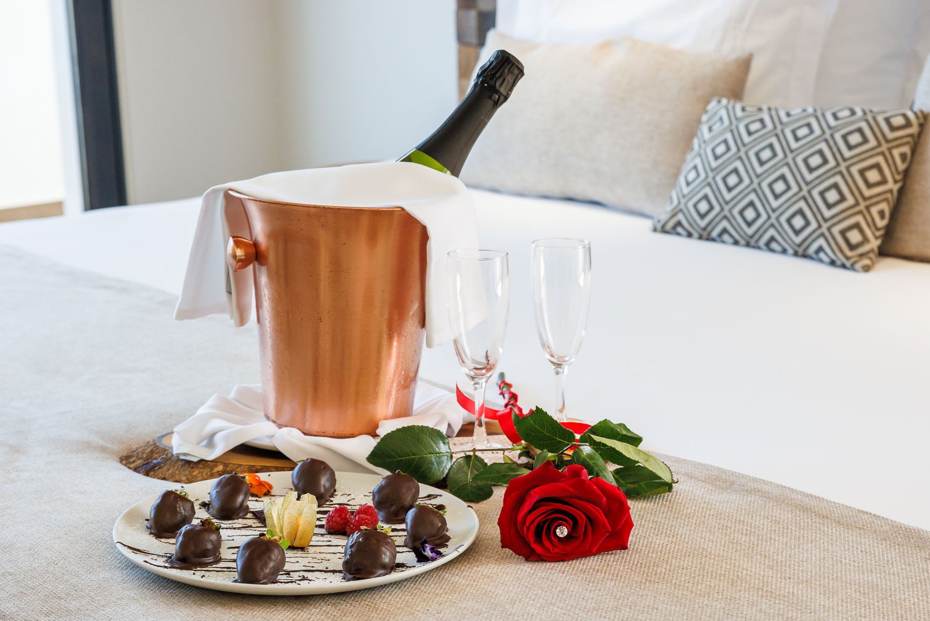 e746cbf0-a878-46f7-8504-04cc9443c21f