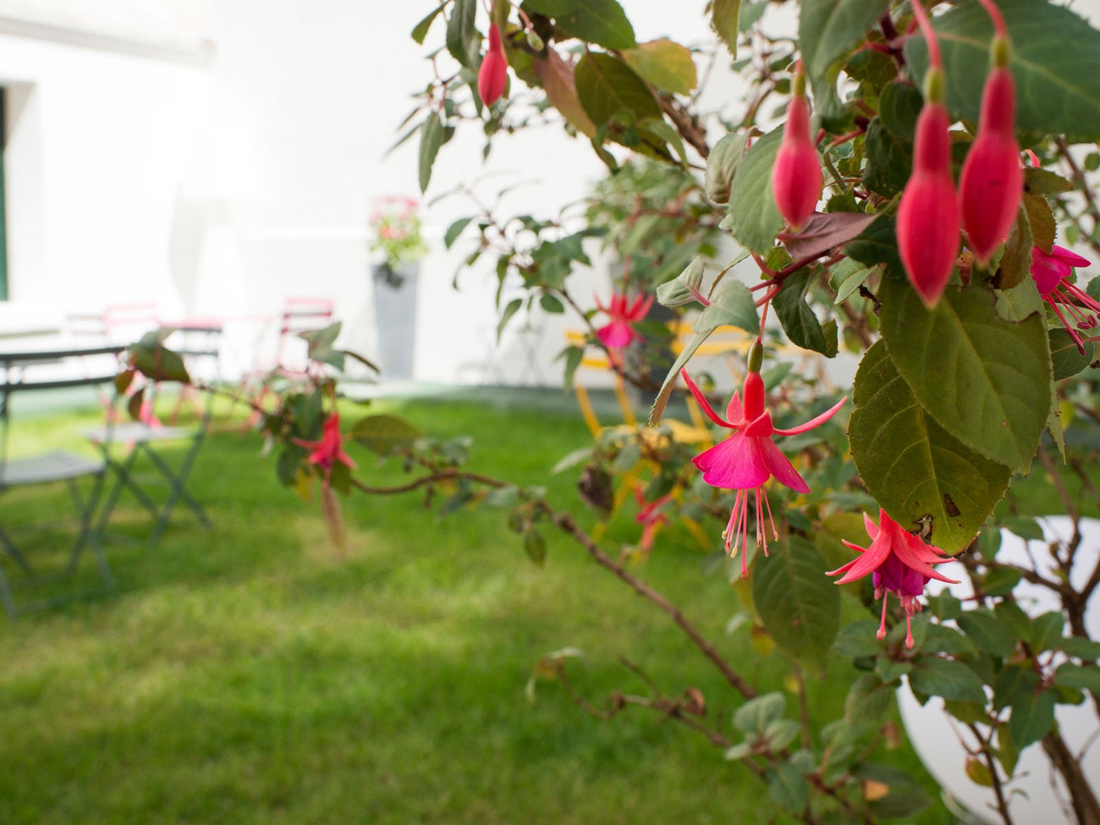 e9d3e2e4-5ad5-42d0-a9a1-29b9744ce578