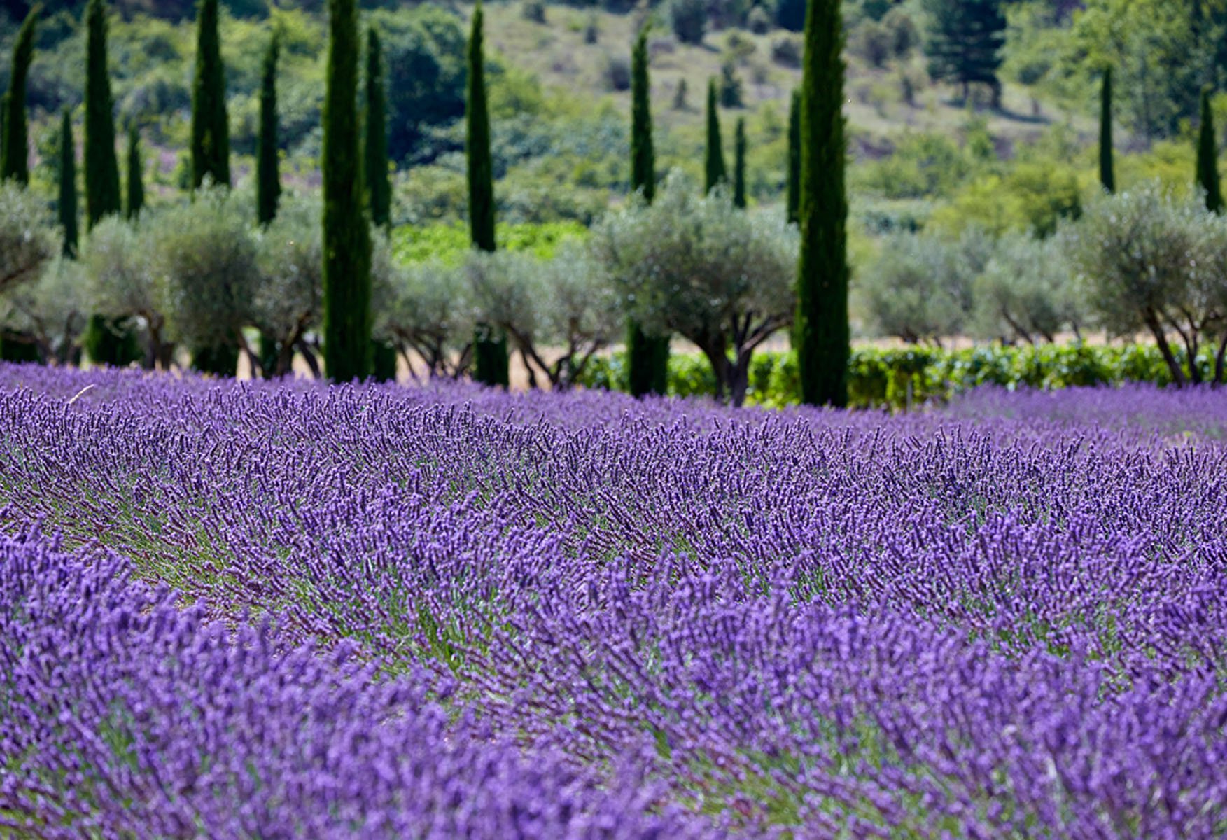 Domaine des Andéols | Boutique hotel in the Luberon