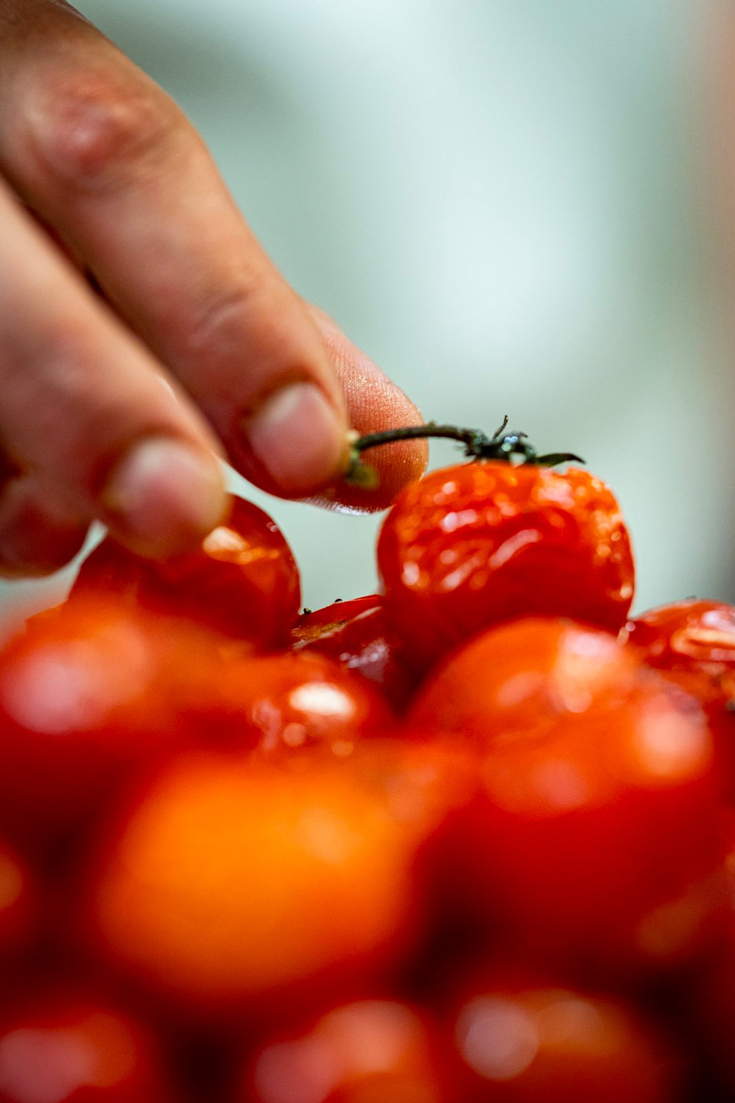 ee694a80-fa15-4c24-b188-3ee684f69850