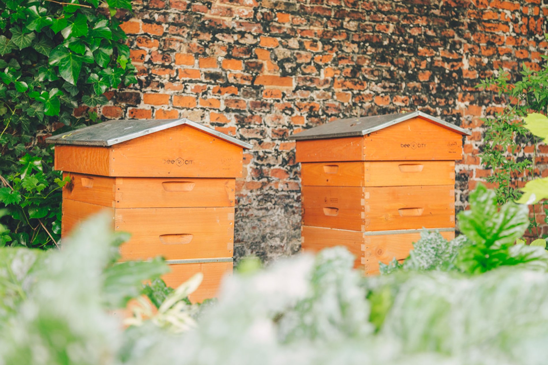 ef3ab4df-cbf6-4129-8184-1039f00f5f67