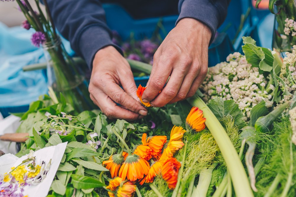 efdd72d6-d216-43d7-91a4-bf0a8d8ac9b4