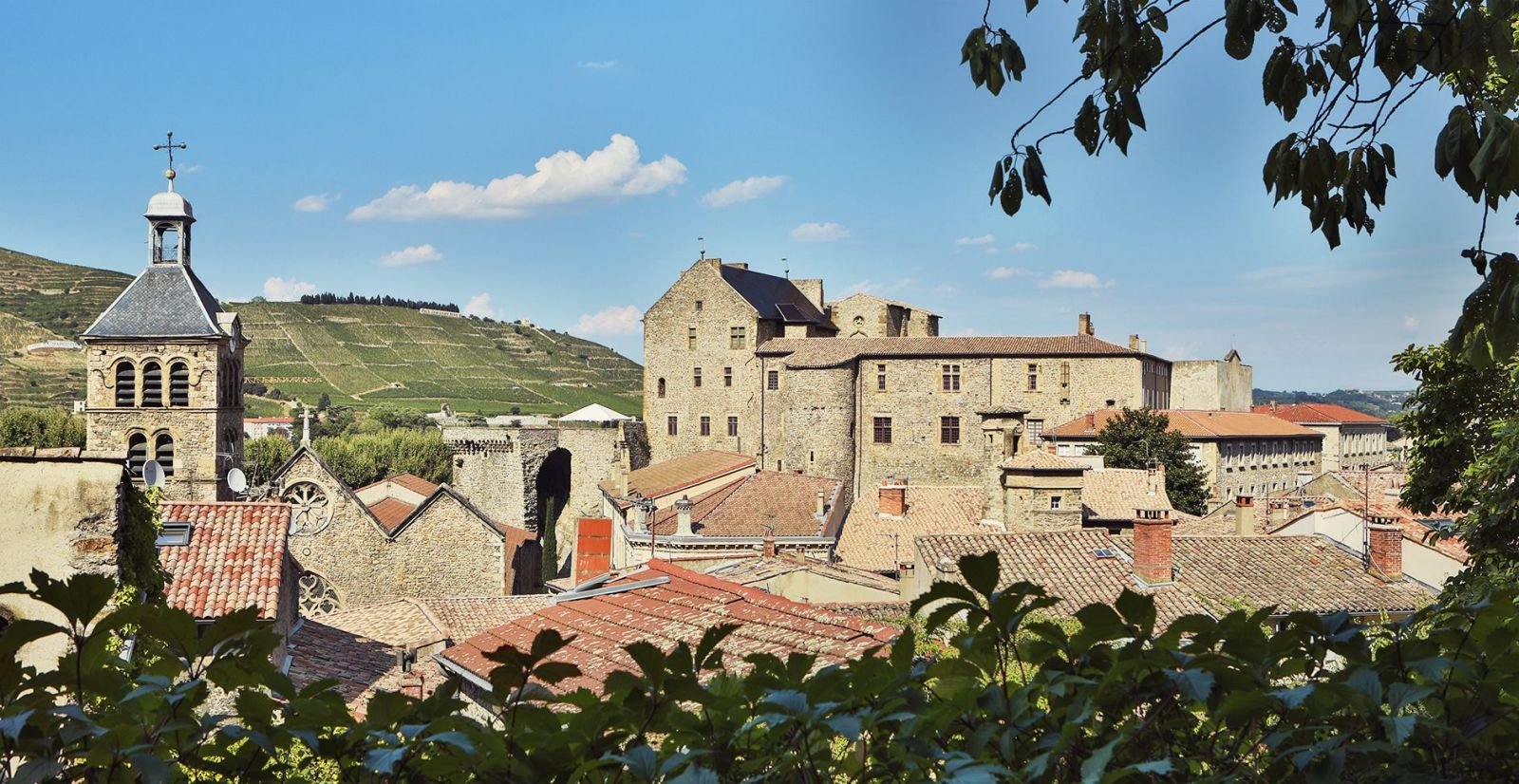 Hôtel de la Villeon | Hôtel vignobles en Rhône-Alpes