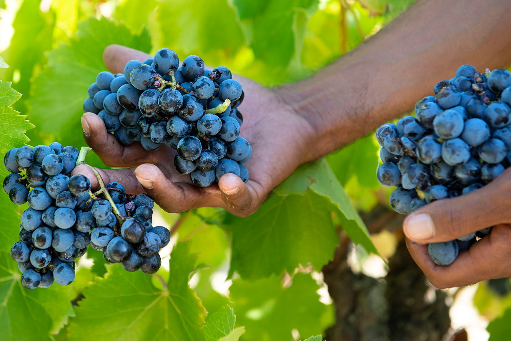 f1b5f2bc-9eb3-409f-bd32-dc0933c21bc9