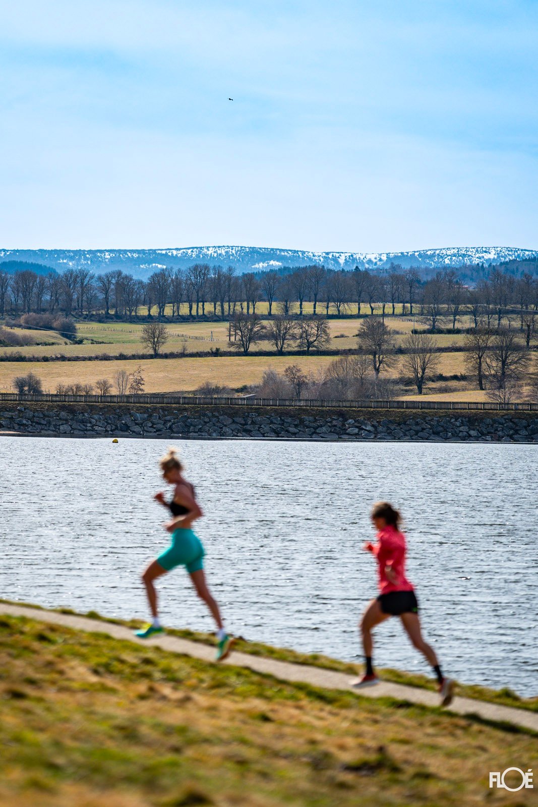 f54dbb1f-cf96-40da-9626-eed39355f48e