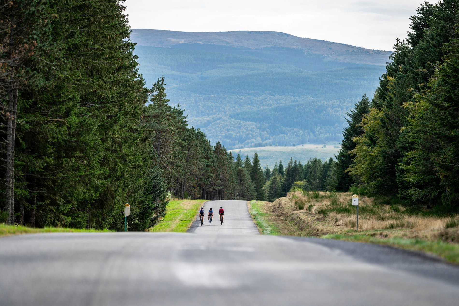 f86dddda-386b-4970-9fd5-80e63a76d4ce