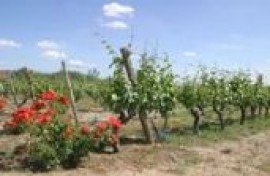 faa60c15-5050-4362-a692-0f1b853fbc6a