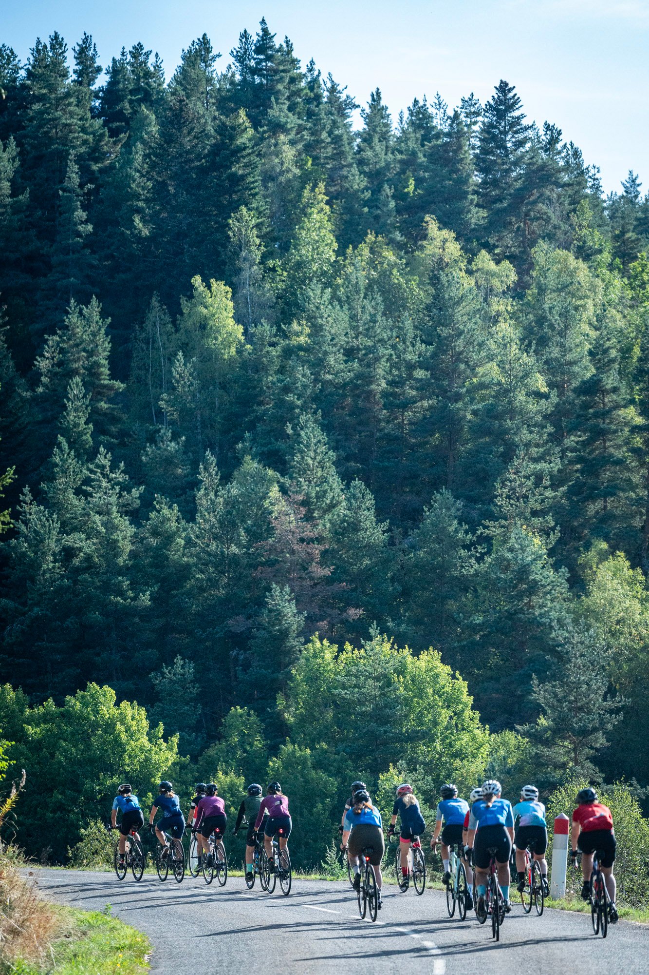 fe2006fa-be89-4635-9c67-feefe1970330