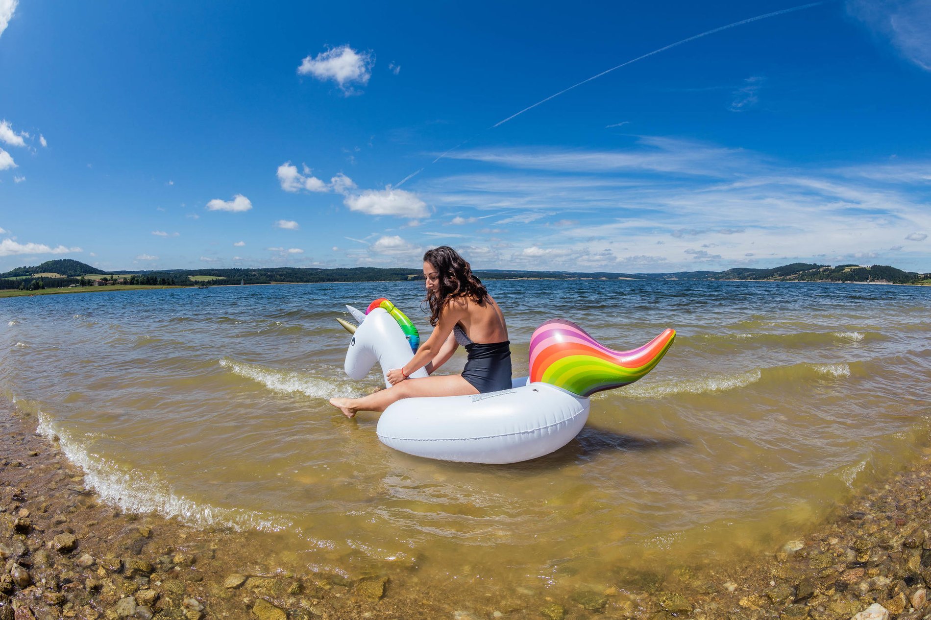 ffce07a9-0056-4971-b67d-e6f8ccf11c83